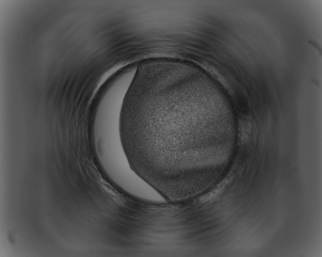 X0000093130830200710171305