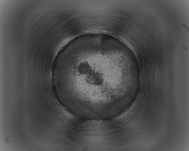 X0000093130831200710171305