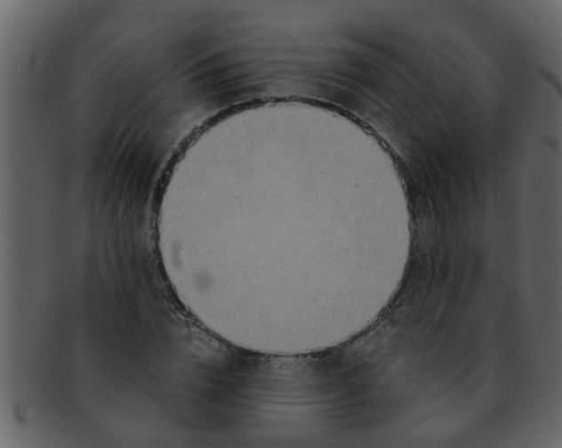 X0000093130832200710171305