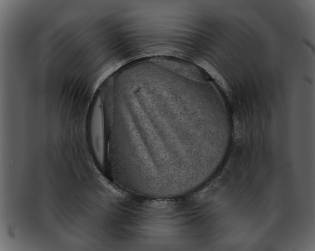 X0000093130834200710171305