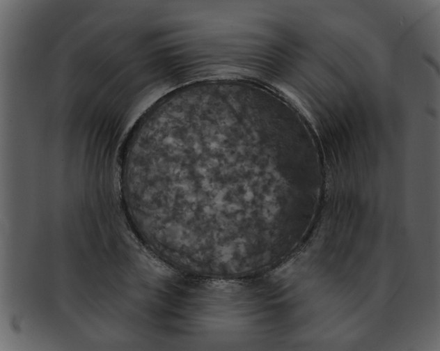 X0000093130835200710171305