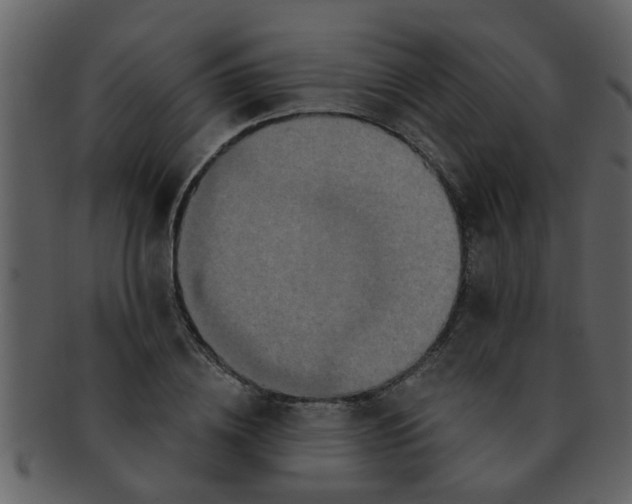 X0000093130836200710171305