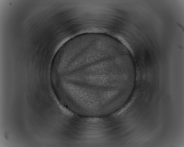 X0000093130837200710171305