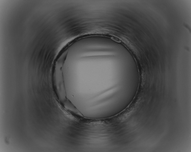 X0000093130838200710171305