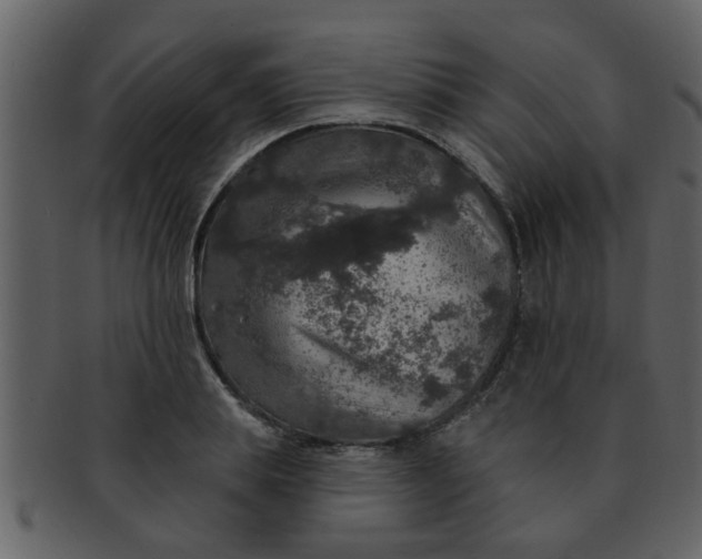 X0000093130839200710171305