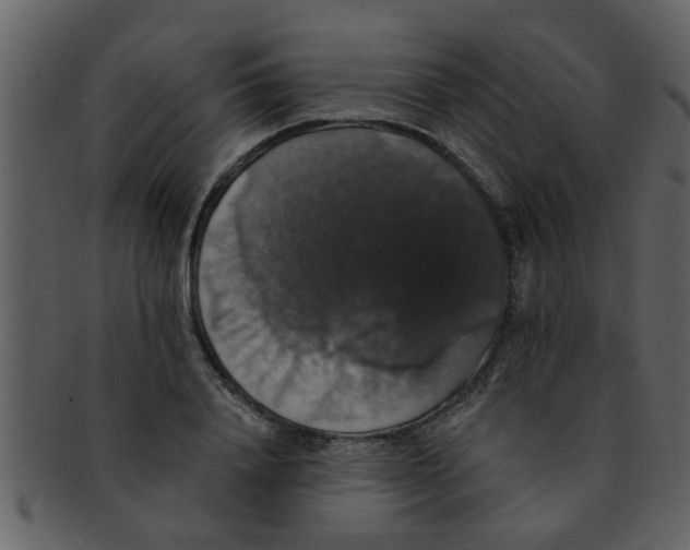 X0000093130840200710171305