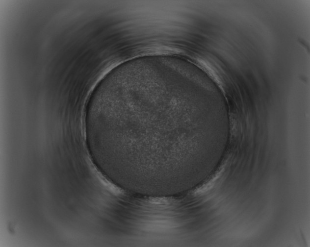 X0000093130843200710171305