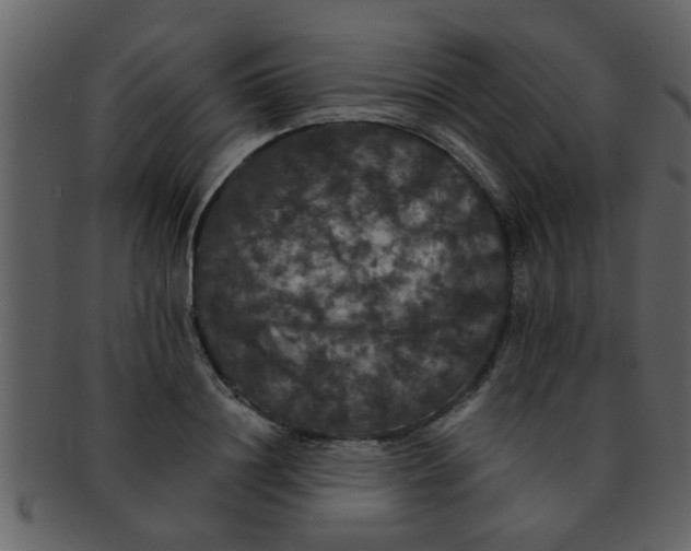 X0000093130844200710171305