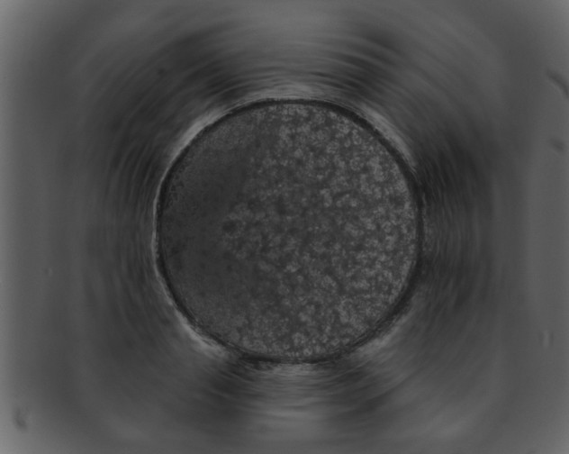 X0000093130845200710171305