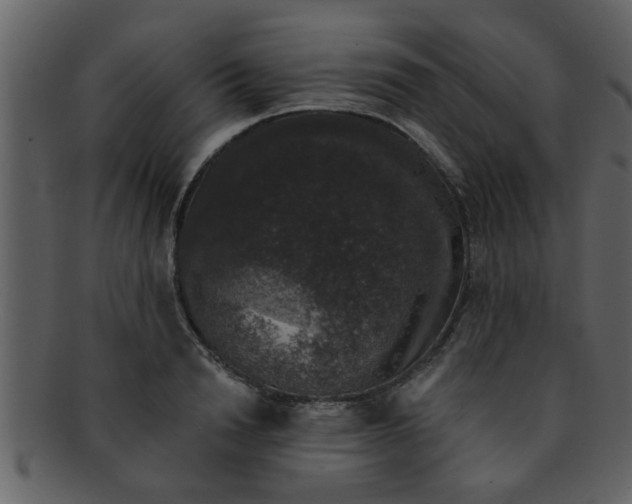 X0000093130846200710171305