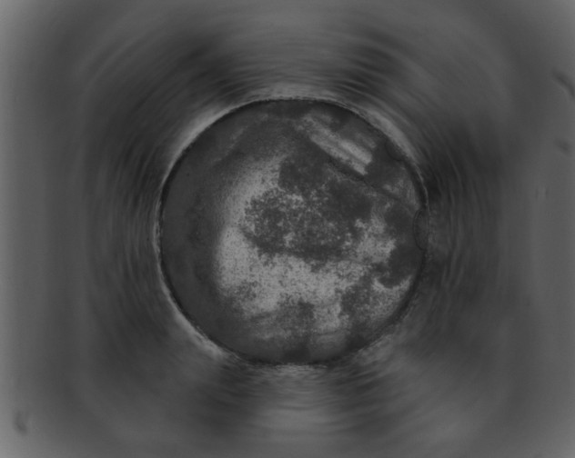 X0000093130847200710171305