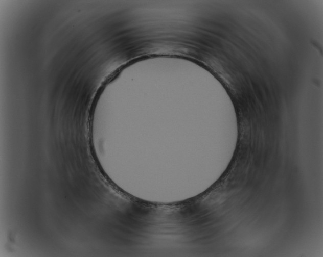 X0000093130848200710171305