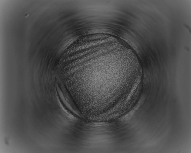 X0000093130849200710171306