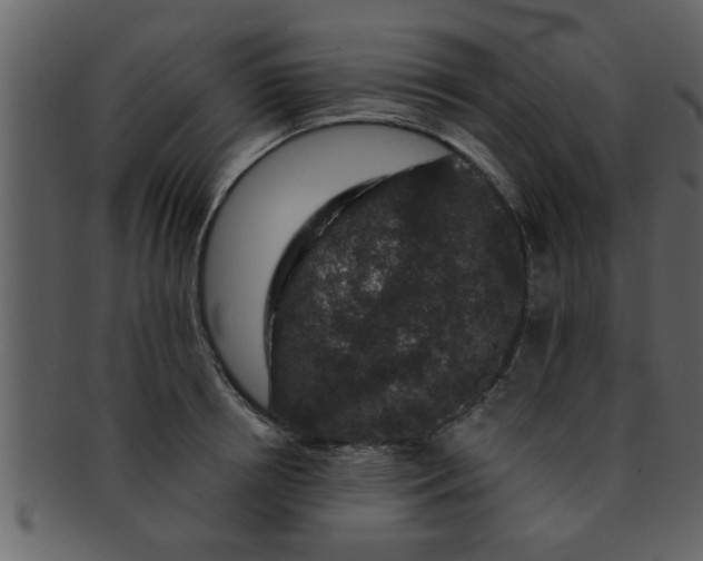 X0000093130850200710171306