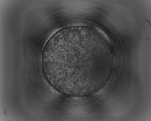 X0000093130852200710171306