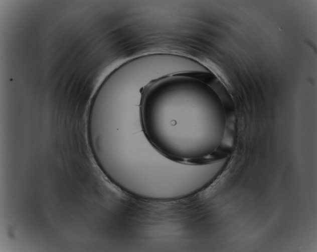 X0000093130854200710171306