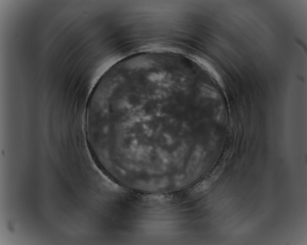 X0000093130855200710171306