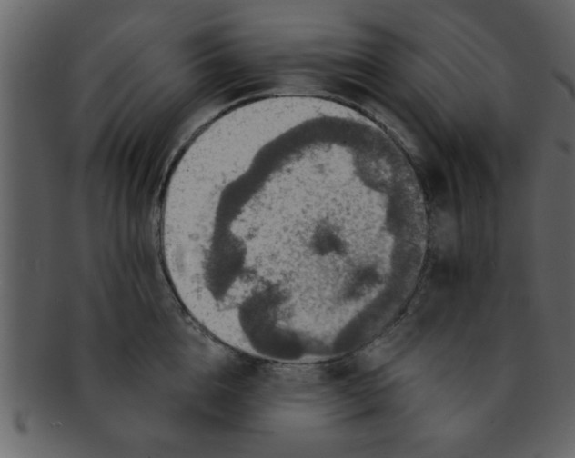 X0000093130856200710171306