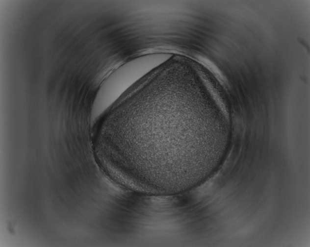 X0000093130857200710171306