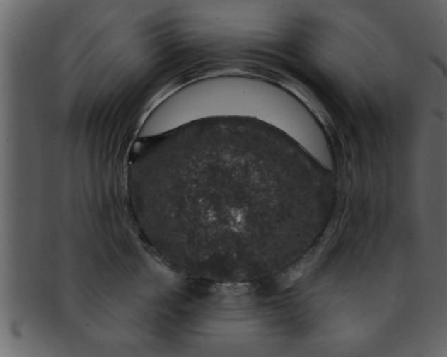 X0000093130858200710171306