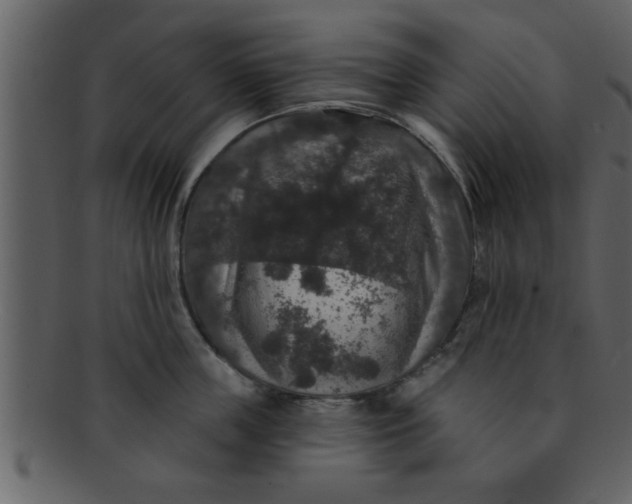 X0000093130859200710171306