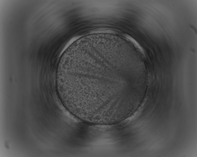 X0000093130860200710171306