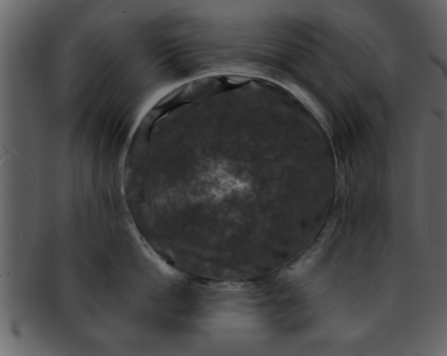 X0000093130862200710171306