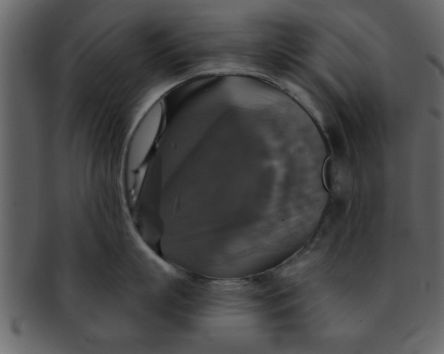 X0000093130863200710171306