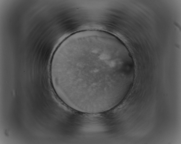 X0000093130864200710171306