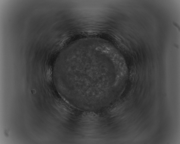 X0000093130866200710171305