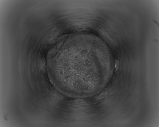 X0000093130867200710171305