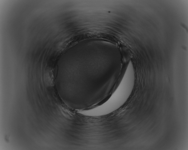 X0000093130868200710171305