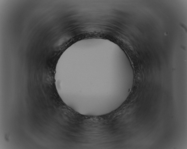 X0000093130869200710171305