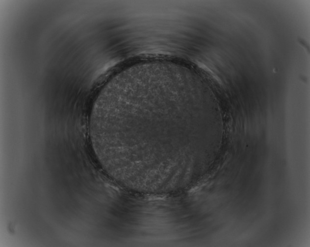 X0000093130870200710171305