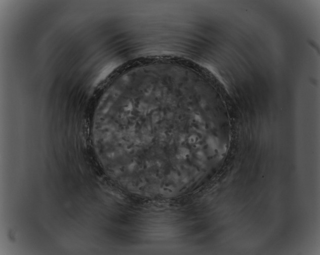 X0000093130871200710171305