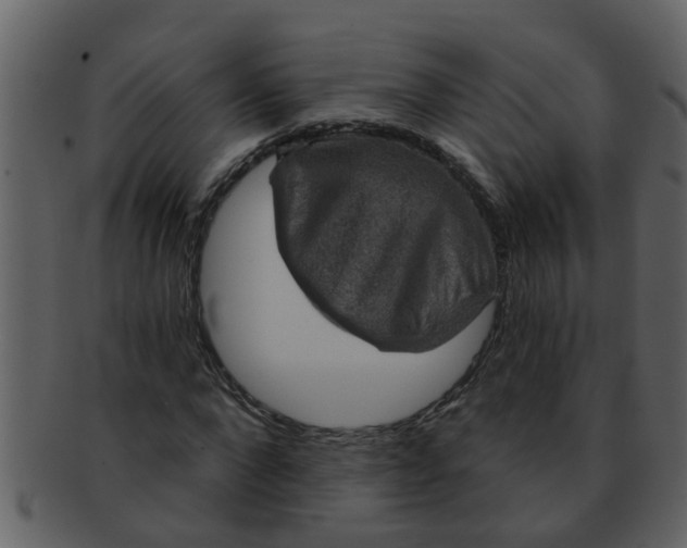 X0000093130872200710171305