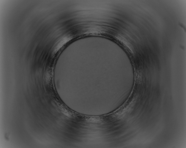 X0000093130874200710171305