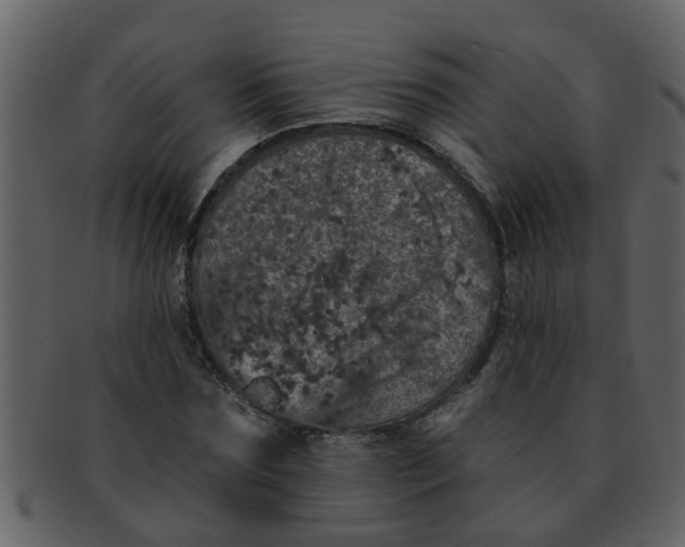 X0000093130875200710171305