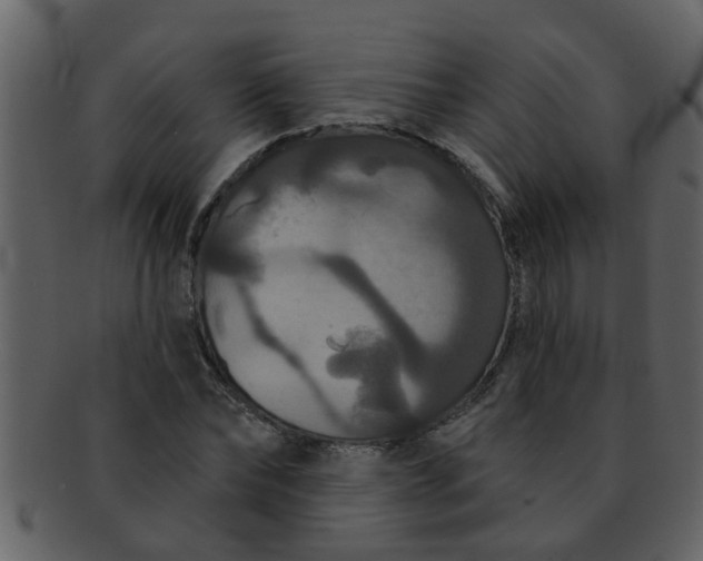 X0000093130878200710171305