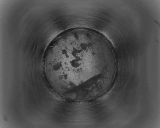 X0000093130879200710171305