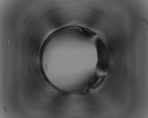 X0000093130880200710171305