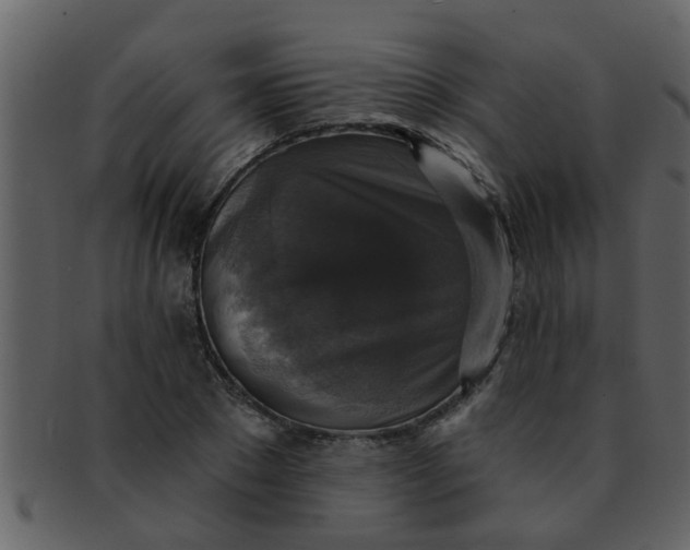 X0000093130881200710171305