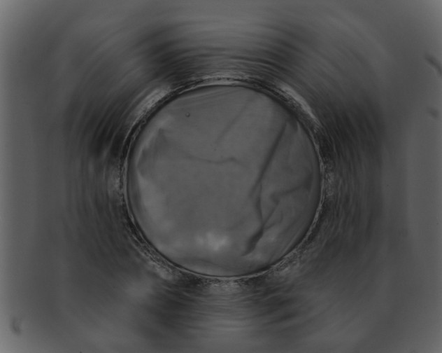 X0000093130882200710171305