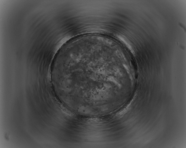 X0000093130883200710171305