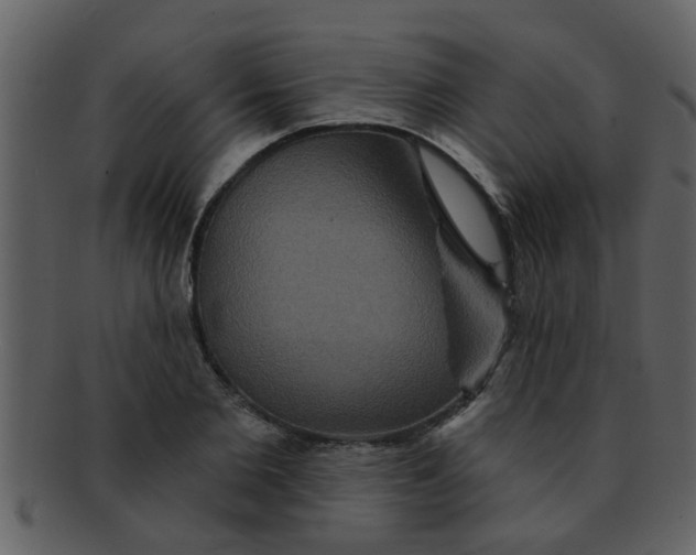 X0000093130885200710171305