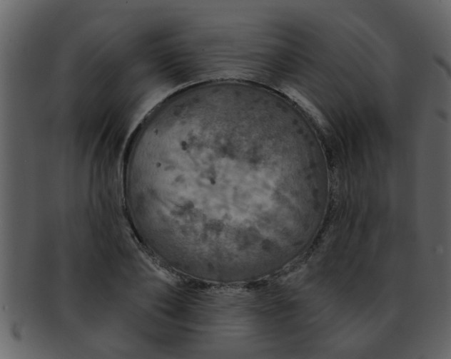 X0000093130886200710171305