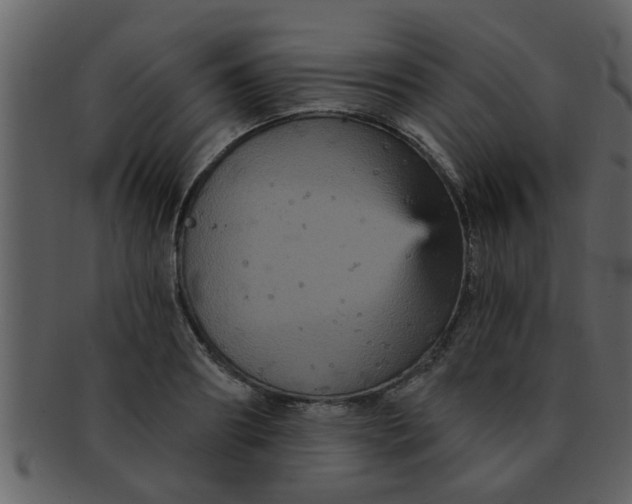 X0000093130890200710171305