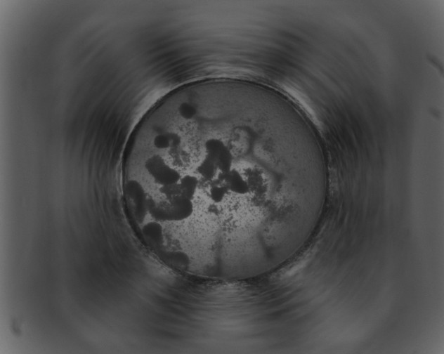 X0000093130891200710171305