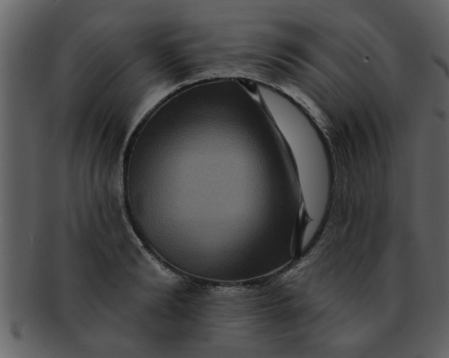 X0000093130894200710171305