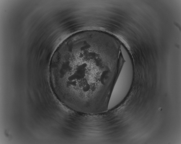 X0000093130895200710171305